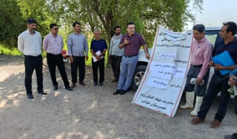 خشکه‌کاری با آبیاری قطره‌ای؛ روش نوین و کم‌آب‌بر در کشت برنج