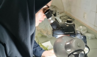 از پایش باغات مرکبات تا ارزیابی های دقیق آزمایشگاهی