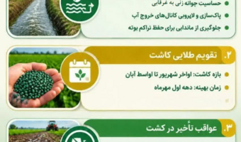 دستورالعمل فنی کشت چغندرقند پاییزه در استان خوزستان