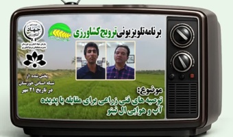 توصیه های فنی زراعت گندم و کلزا جهت مقابله با پدیده آب و هوایی ال نینو