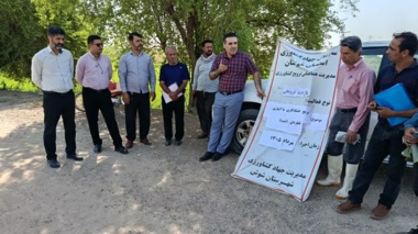 خشکه‌کاری با آبیاری قطره‌ای؛ روش نوین و کم‌آب‌بر در کشت برنج