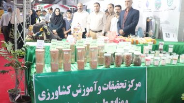 از «تولید بذر و اصلاح نژاد دام» تا «تربیت کشاورزان آینده»؛ روایت دستاوردهای صفیآباد در مسیر امنیت غذایی