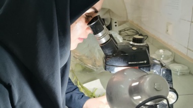 از پایش باغات مرکبات تا ارزیابی های دقیق آزمایشگاهی