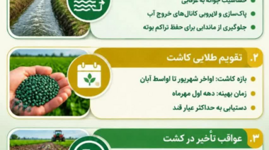 دستورالعمل فنی کشت چغندرقند پاییزه در استان خوزستان
