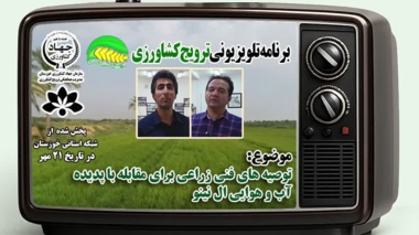 توصیه های فنی زراعت گندم و کلزا جهت مقابله با پدیده آب و هوایی ال نینو
